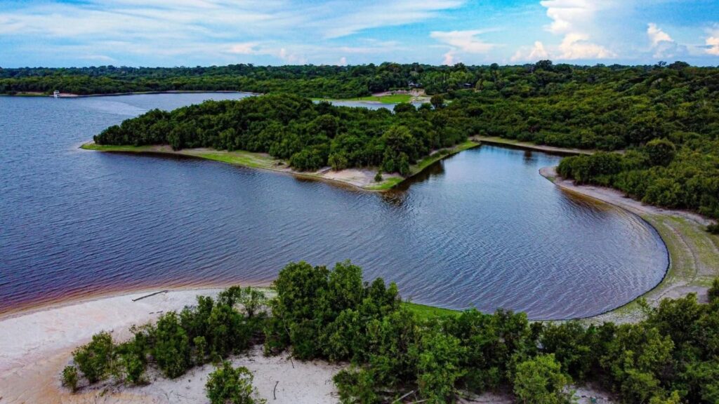 Rio Negro cercado pela floresta amazônica no Amazonas