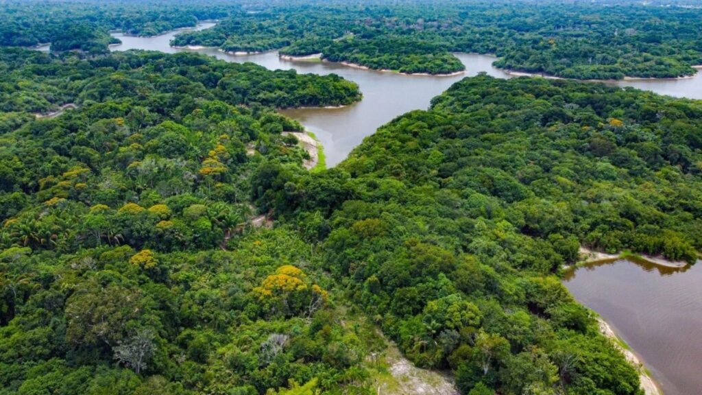 Floresta amazônica e cursos de água na região do Rio Negro