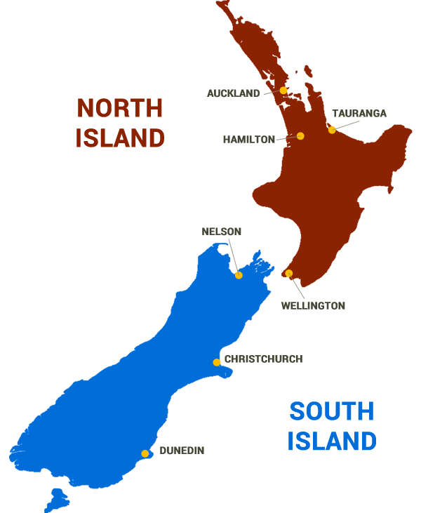 Infographic: Map of the English Courses in New Zealand