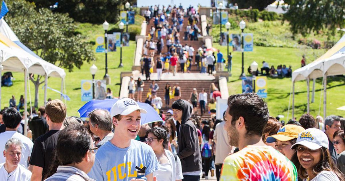 Estudia un semestre en la UCLA 20232024 ViveCampus