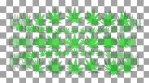 marijuana 1SL