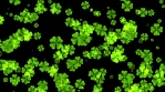 Clovers Particle Rain