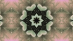 KALEIDOSCOPIC LOOP - fluid analog pattern clip 6