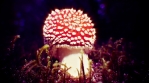 Amanita Muscaria mushroom glowing disco ball light ray effects, Iceland