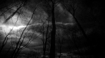 Dark Winter Forest And Lighting Storm