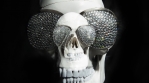 Skull Head Skeleton Corpse Human Bones Horror