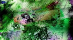 Colorful Grunge Texture