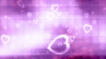 Hearts love background in purple white and pink loop