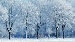 Winter background