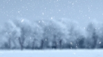 Winter background