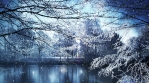 Winter Scenery