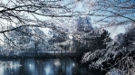 Winter Scenery