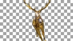 Loopable Christmas Gold Elk Running