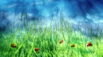 Nature Background