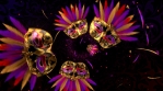 Carnival Masquerade Vj Loops Pack by Volumetricks