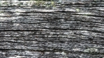 Grunge Texture