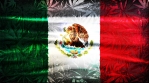 Marijuana Flag Grunge Mexico 3 in 1