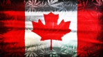 Marijuana Flag Grunge Canada 3 in 1