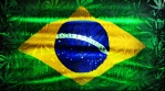 Marijuana Flag Brazil Grunge 3 in 1