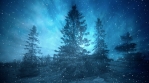 Dark Winter Background