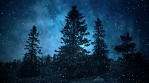 Dark Winter Background