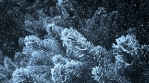 Dark Winter Background