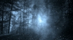 Dark Winter Background