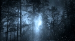 Dark Winter Background