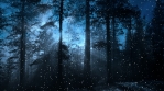 Dark Winter Background