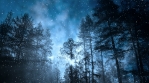 Dark Winter Background