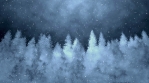 Winter Background