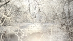 Winter Background