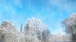 Winter Background