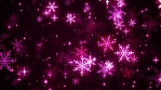 Magenta Snow Magic