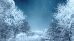 Winter Background