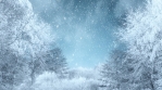 Winter Background