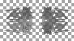 BW_PATTERN_BLUR_BEAT_ALPHA