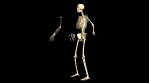 Animated 3D Skeleton on Black background