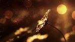 Golden Flowers Background