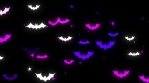 Halloween Bats