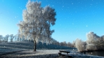 Winter Background