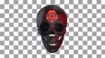 ELEMENT 4 SKULL FRONT