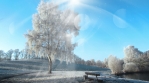 Winter Background