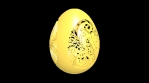 Easter Egg 3D animation.