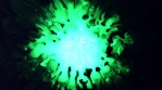 Liquid abstract color explosion PART 3 GREEN POISON 5