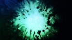 Liquid abstract color explosion PART 3 GREEN POISON 11