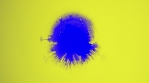 liquid abstract color explosion PART 1 YELLOW  6