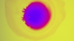 liquid abstract color explosion PART 1 YELLOW  9