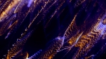 Particle_Light_Waves_03