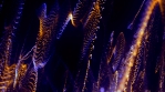 Particle_Light_Waves_04